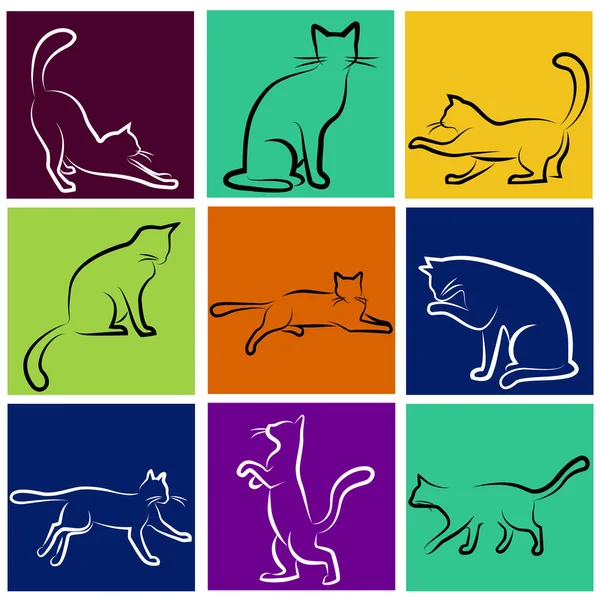 Serie Cat — Archivo Imágenes Vectoriales