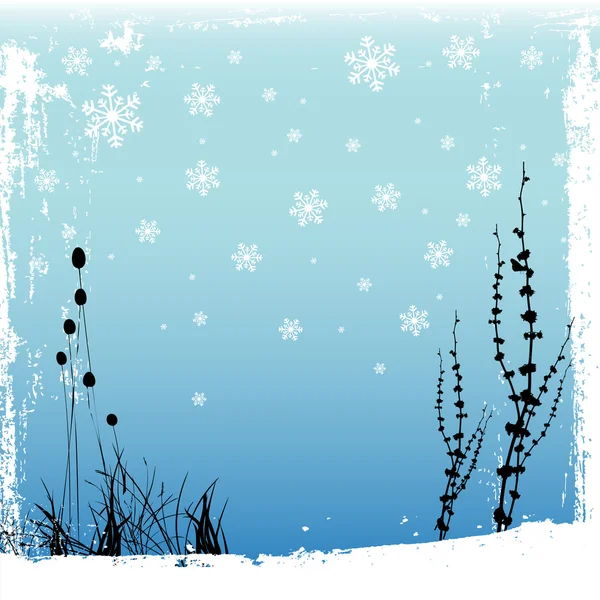 Design floral d'hiver — Image vectorielle