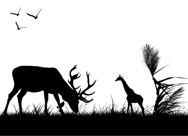 Dieren in het wild silhouet — Stockvector