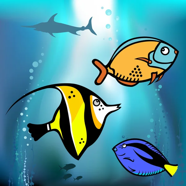 Grafika ryb — Stockový vektor