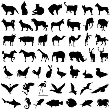 50 animal set clipart