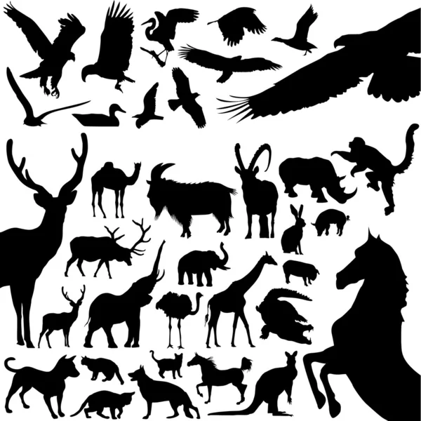 动物集 — 图库矢量图片