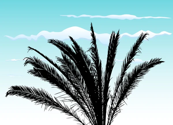 Дерево пальми — стоковий вектор