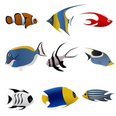 Tropical fish set clipart