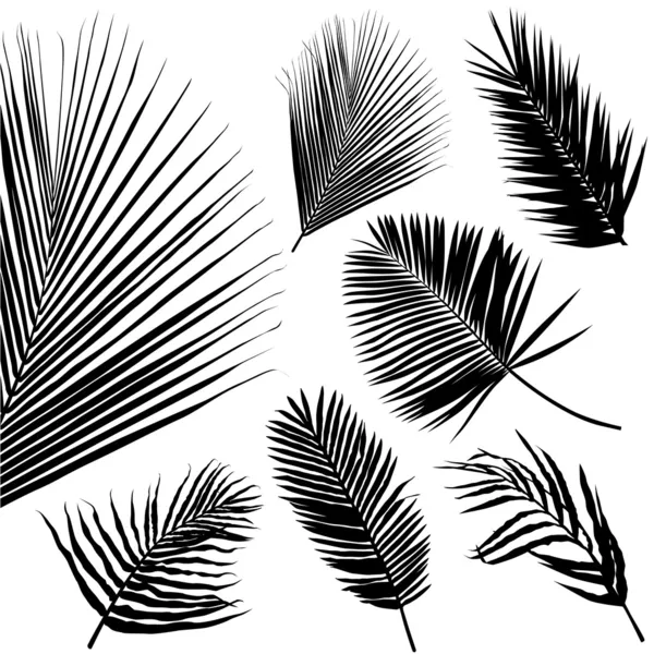 Feuille tropicale ensemble — Image vectorielle