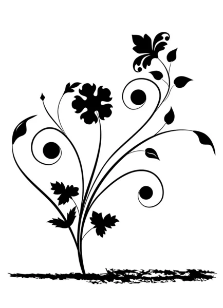 Floral στοιχεία — Διανυσματικό Αρχείο