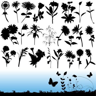 Flower and butterfly clipart