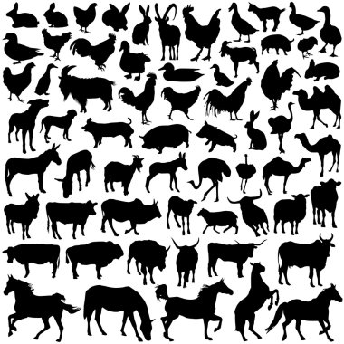 Farm animal vector clipart