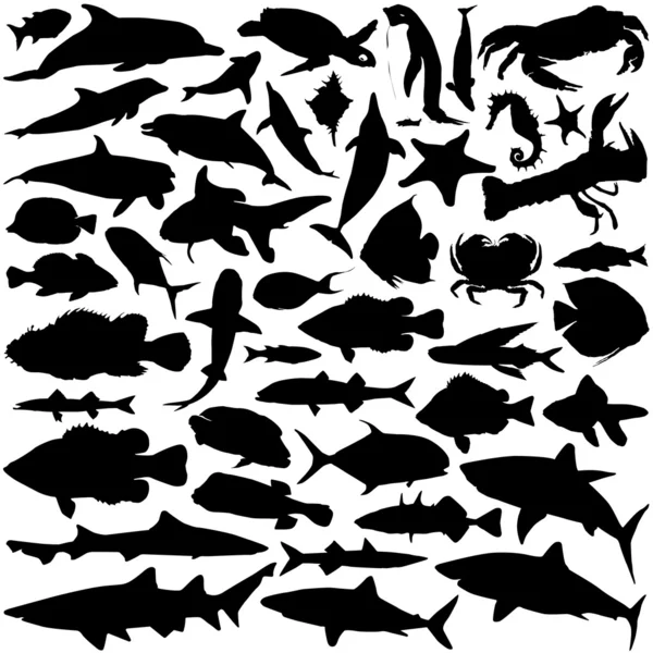 Havet djur set — Stock vektor
