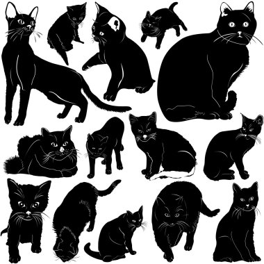 Cat vector with details clipart