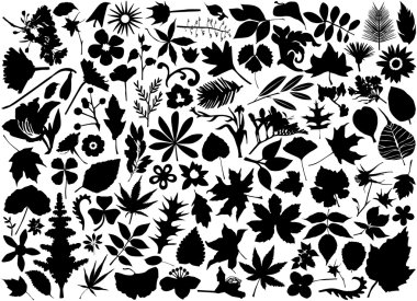 Flower and leaf set clipart