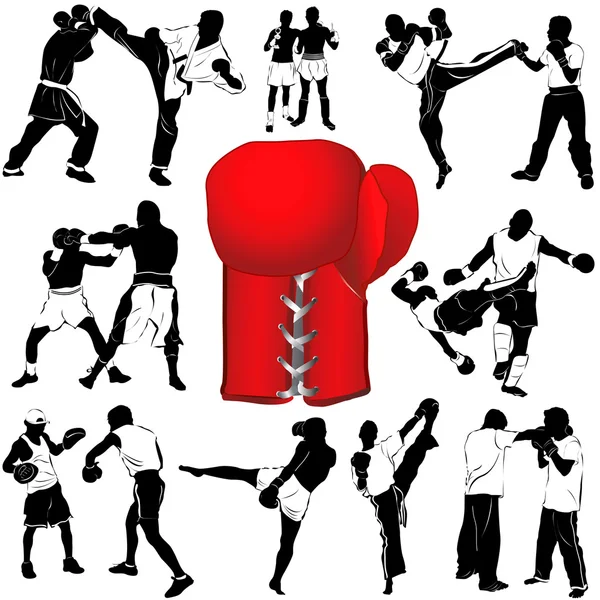 Boxing set — Stock Vector