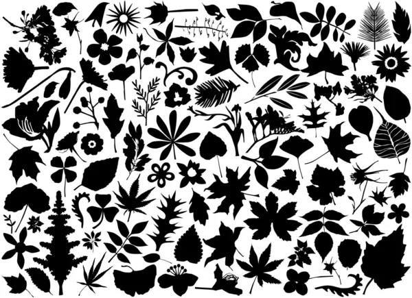 Conjunto de flores y hojas — Archivo Imágenes Vectoriales