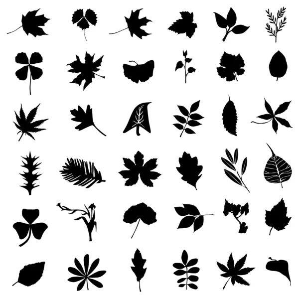 葉と花のベクトルのコレクション — ストックベクタ