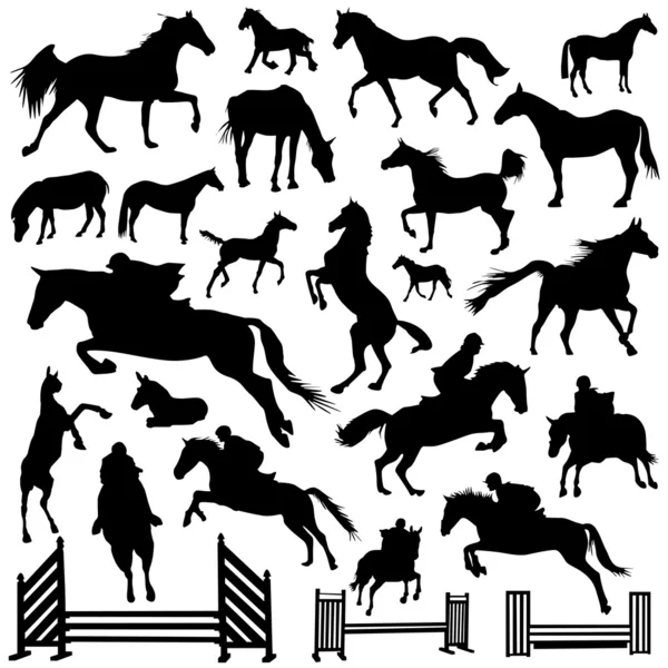 Колекція векторних коней — стоковий вектор
