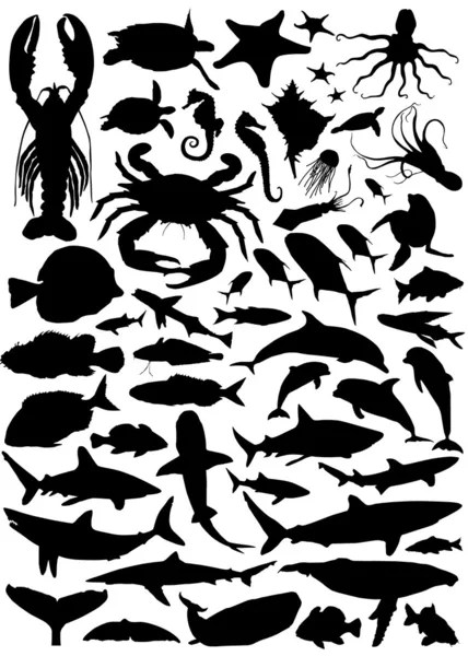 Juego de animales marinos — Archivo Imágenes Vectoriales