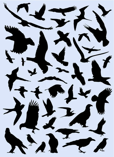 Набор птиц — стоковый вектор