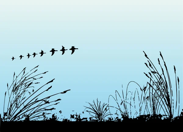 Gras und Vögel — Stockvektor