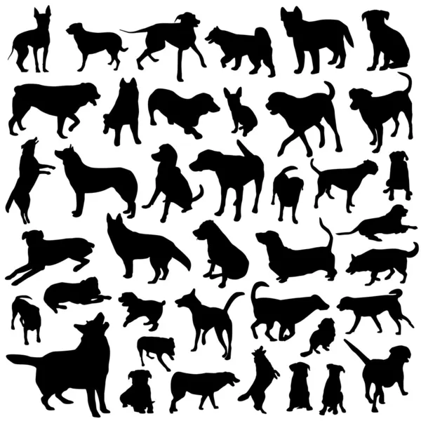 Collection of dog — Stock Vector