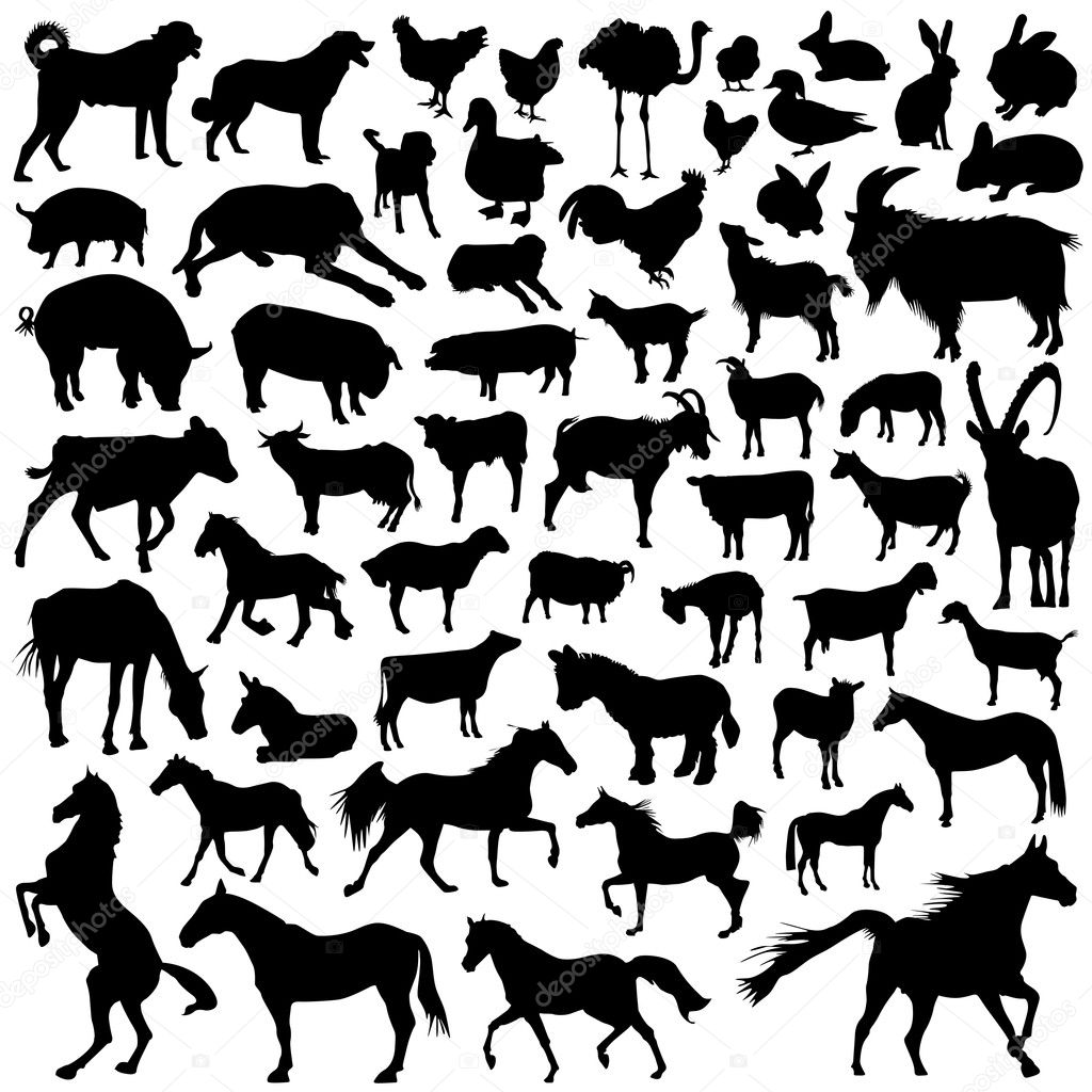 Collection of farm animal