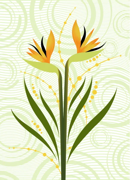 Hermoso diseño floral — Vector de stock