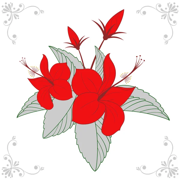 Diseño floral — Archivo Imágenes Vectoriales