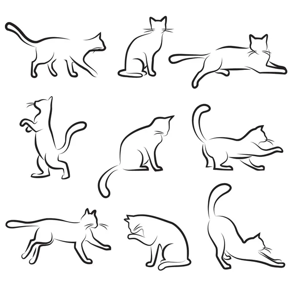 猫を描く — ストックベクタ