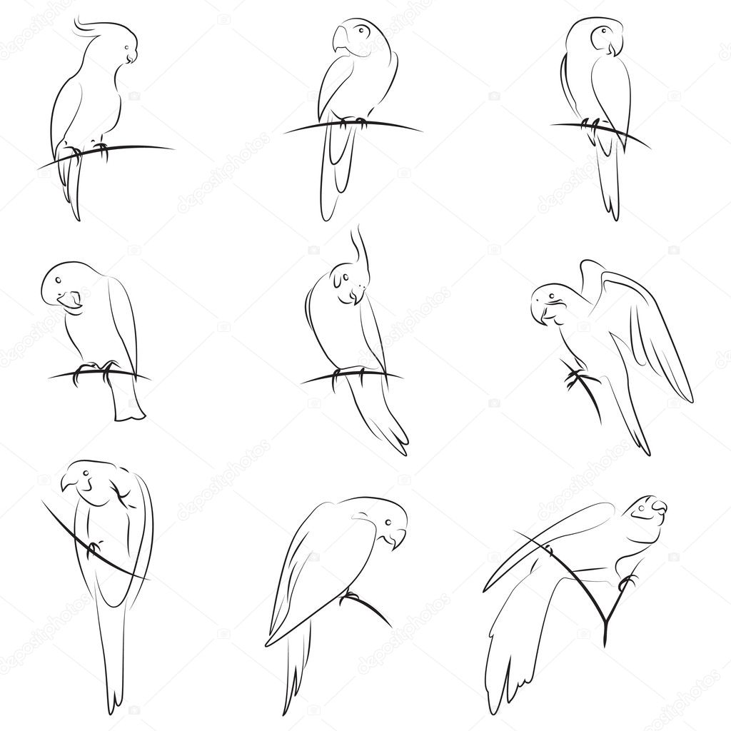Parrot drawing Stock Vector by ©bogalo 9464949