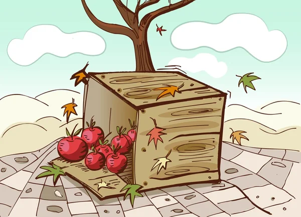 Boîte et tomates — Image vectorielle