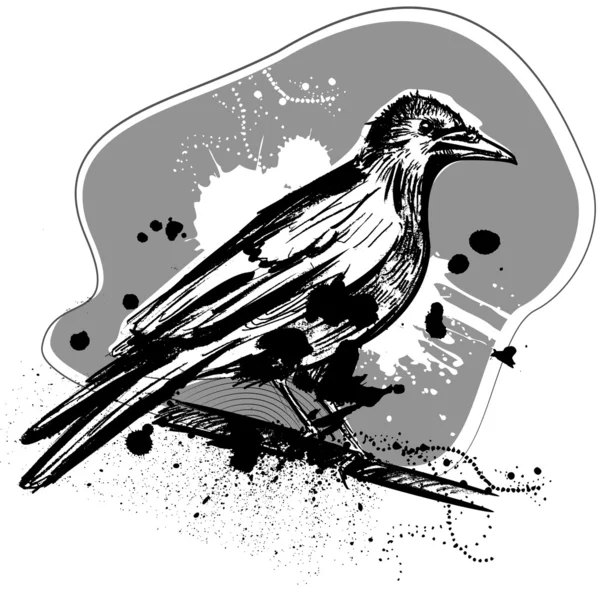 Crow grunge design — Stock Vector