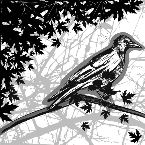 Ворона з джунглів — стоковий вектор