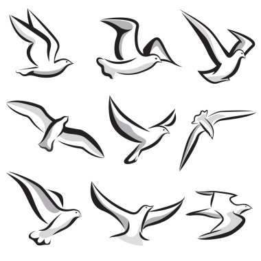 Bird set clipart