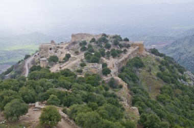 Nimrod kale