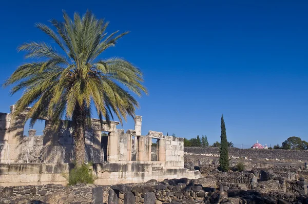 Капернаумская синагога — стоковое фото