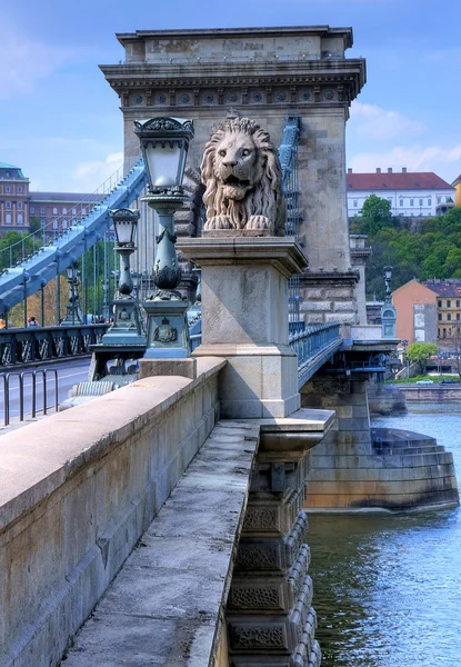 The Chain bridge in Budapest — Stock Photo, Image
