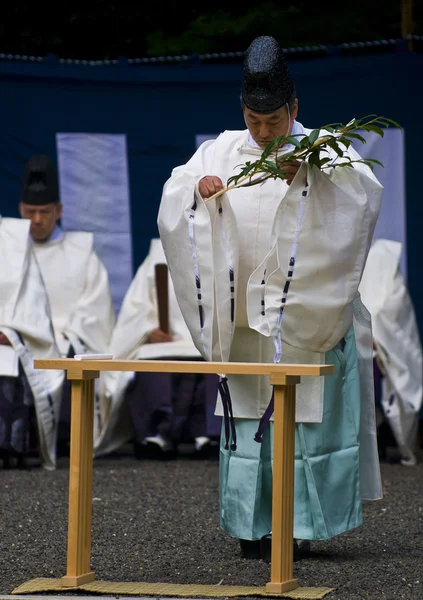 Церемония сбора риса — стоковое фото
