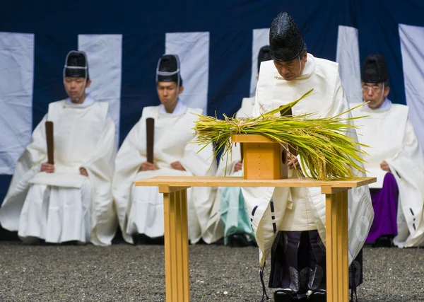 Cerimonia di raccolta del riso — Foto Stock