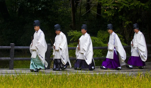 Церемония сбора риса — стоковое фото