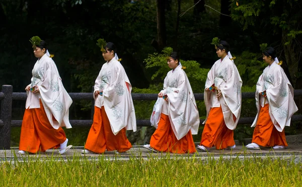 Rice harvest ceremony — Stock Photo, Image