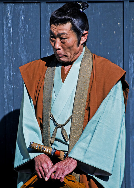 День японской культуры
