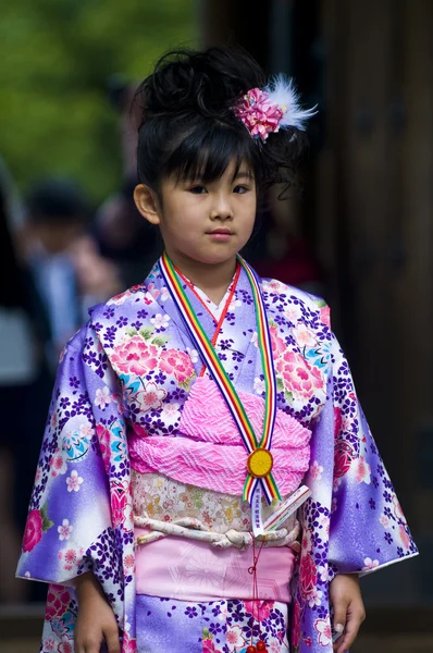 День японской культуры — стоковое фото