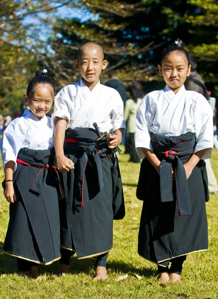 Japanese Culture Day — Stock Photo, Image