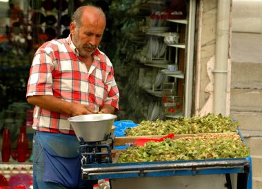 fındık satıcı