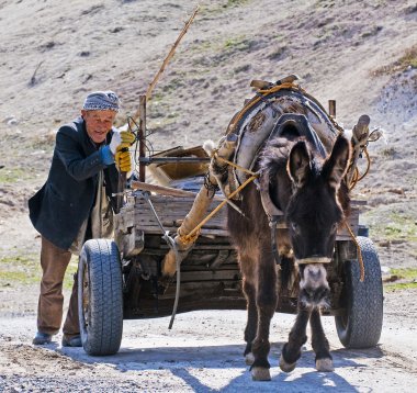 Türk çiftçi