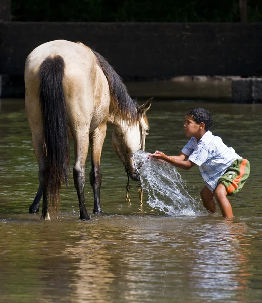Ragazzo con cavallo — Foto Stock