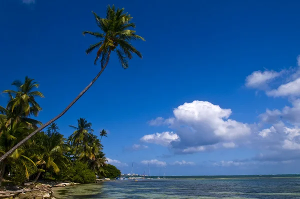 San andres eiland, colombia — Stockfoto