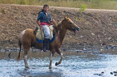 Gaucho Festivali