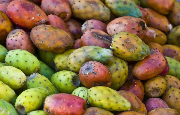 stock image Cactus fruits