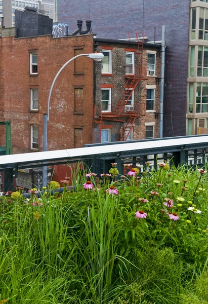 stock image High line park in New York