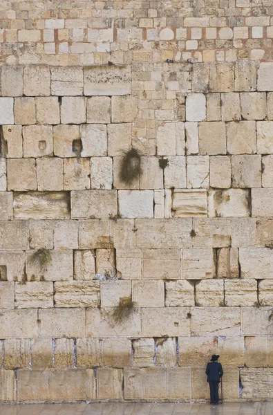 stock image The Western wall